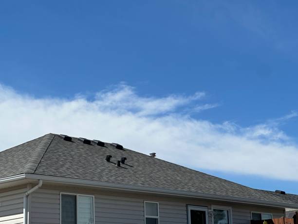 Best Flat Roofing  in Johnstonville, CA